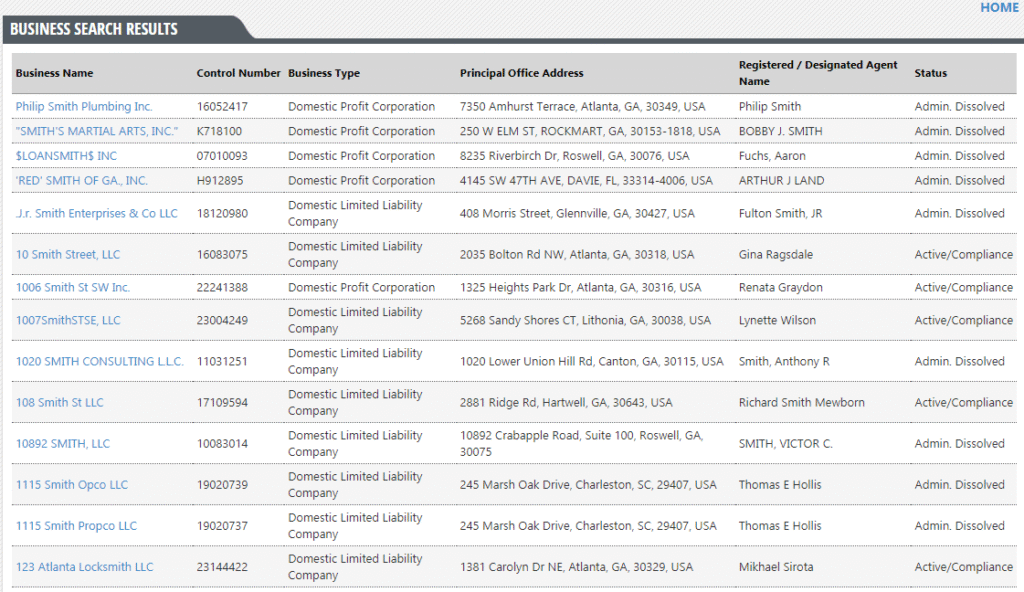 ga business entity search