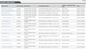 ga business entity search