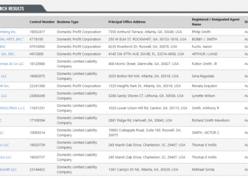 ga business entity search
