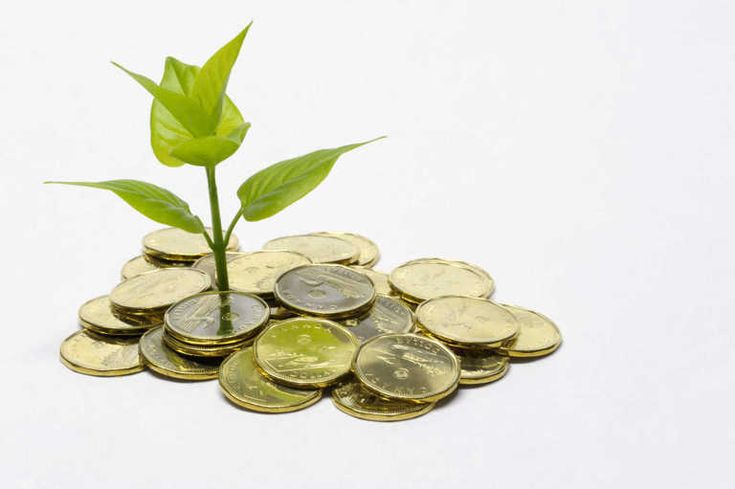 High yield dividend stocks strategy and income investing