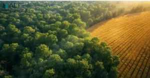 natural-capital-investment-forests-farmland